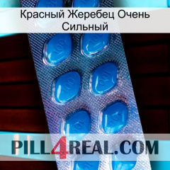 Красный Жеребец Очень Сильный viagra1